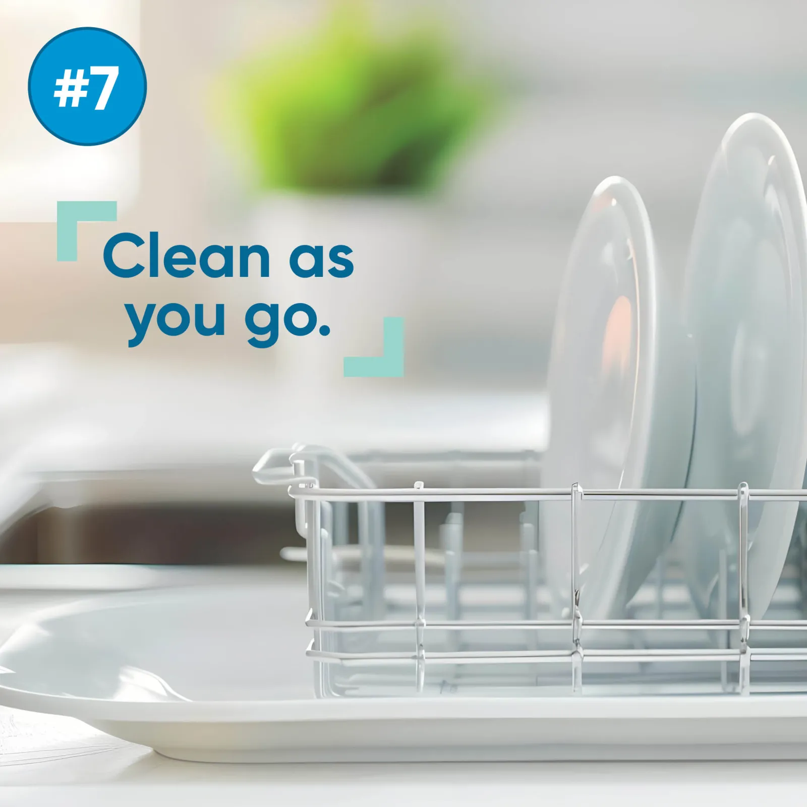 white dishes on drying rack
