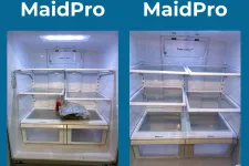 Thumbnail for a collage of a refrigerator